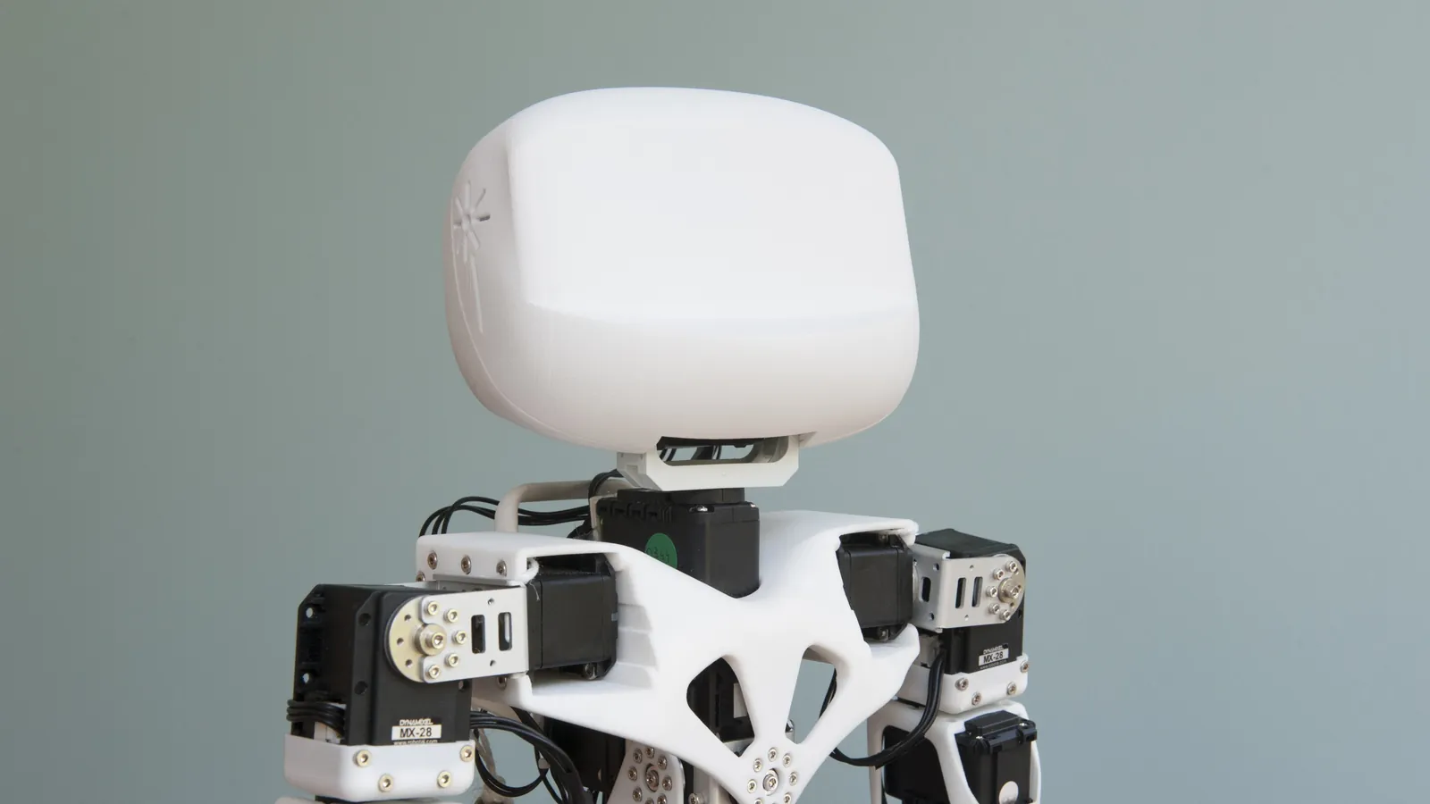 Poppy Humanoid 人形机器人 — 第 1 张图